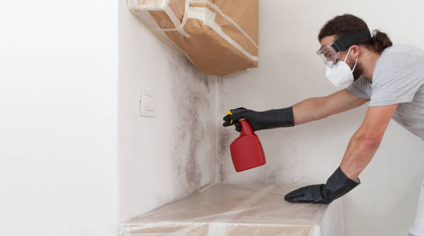 Attic Mold Remediation treatment on roof deck in Asbury Park