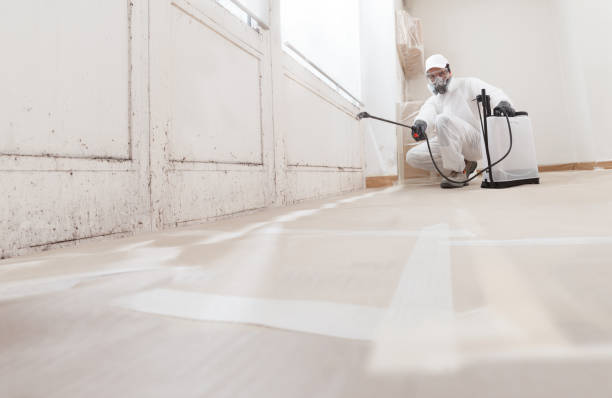 Black mold remediation team in Asbury Park